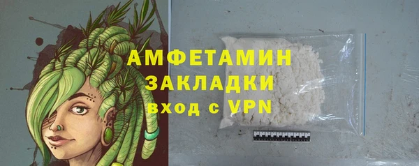индика Березники