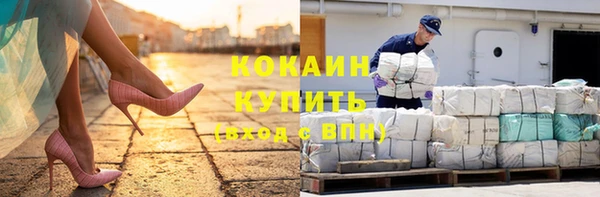 индика Березники