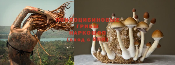 эйфоретик Домодедово