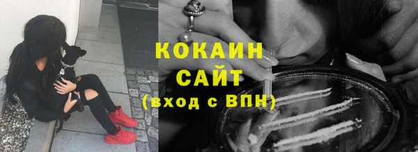индика Березники