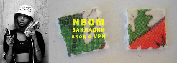 индика Березники
