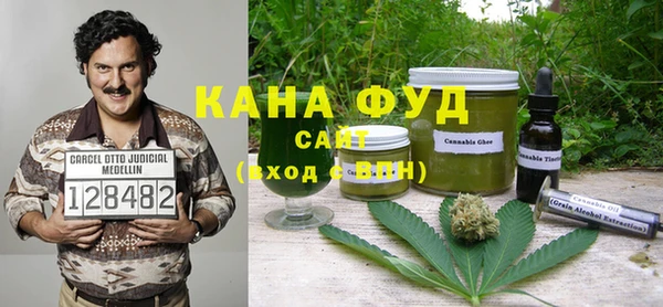 индика Березники