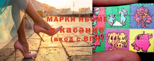 индика Березники