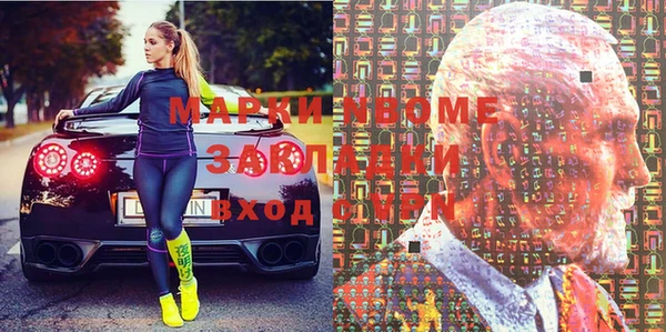 индика Березники