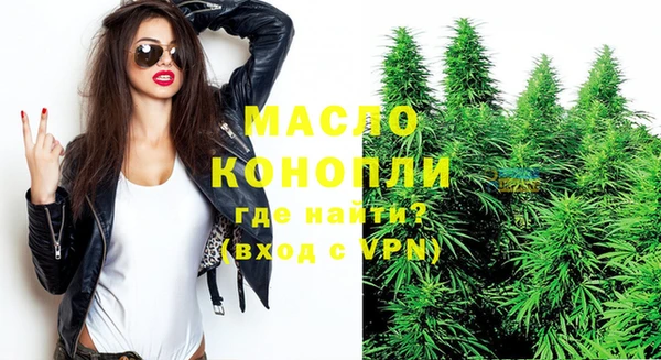 индика Березники