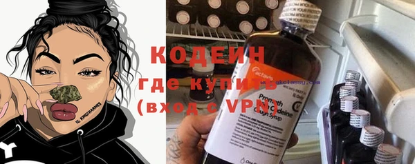 индика Березники