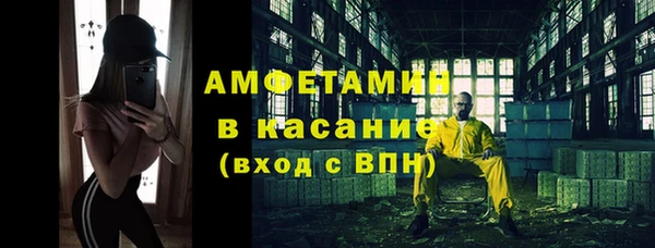 индика Березники