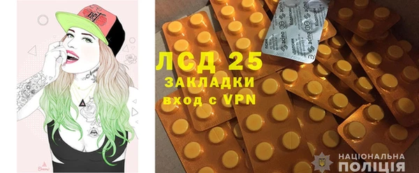 индика Березники