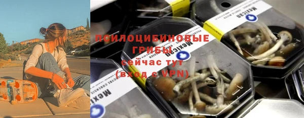 индика Березники