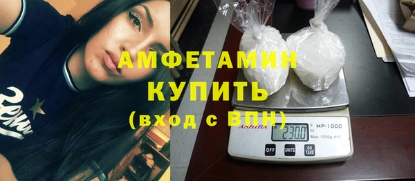 индика Березники