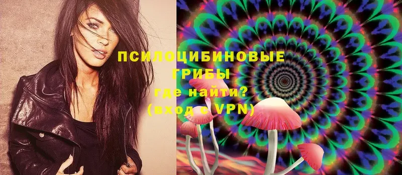 blacksprut как зайти  дарк нет формула  Галлюциногенные грибы Psilocybe  купить закладку  Завитинск 